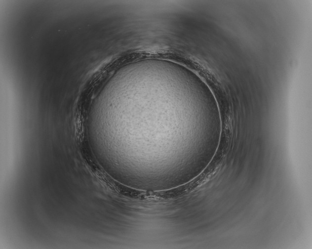X0000115781398200911201302