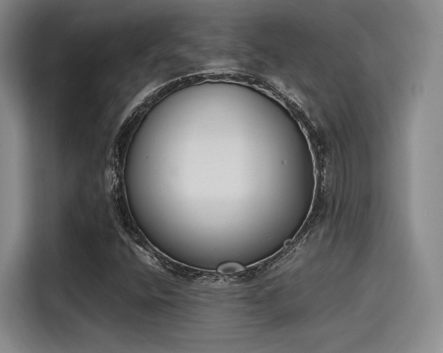 X0000115781400200911201302