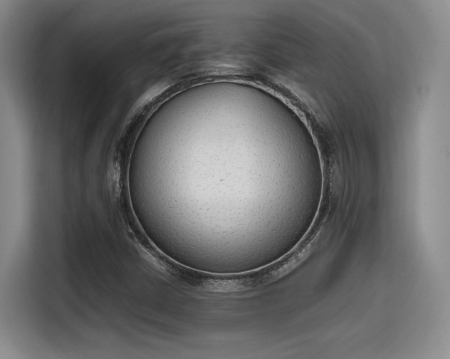 X0000115781402200911201302