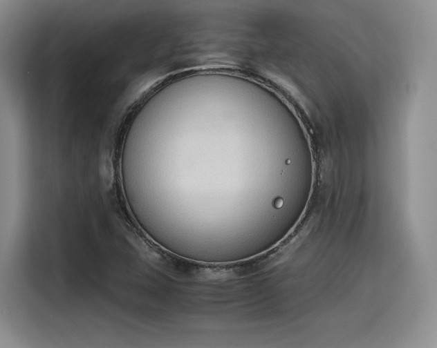 X0000115781407200911201302