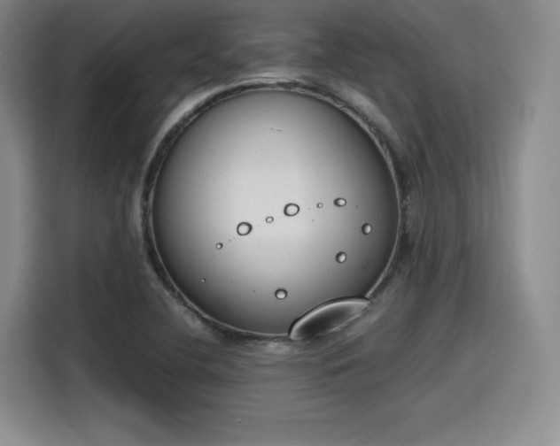 X0000115781412200911201303