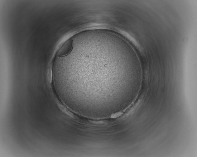 X0000115781413200911201303