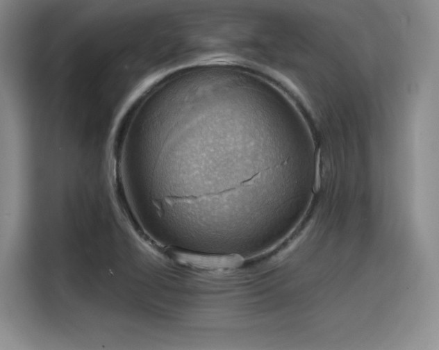 X0000115781414200911201303