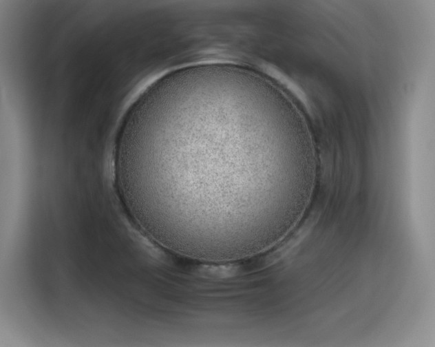 X0000115781415200911201303