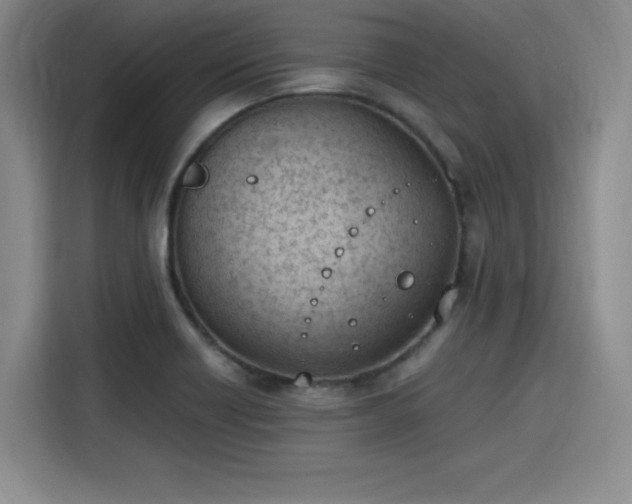 X0000115781418200911201303