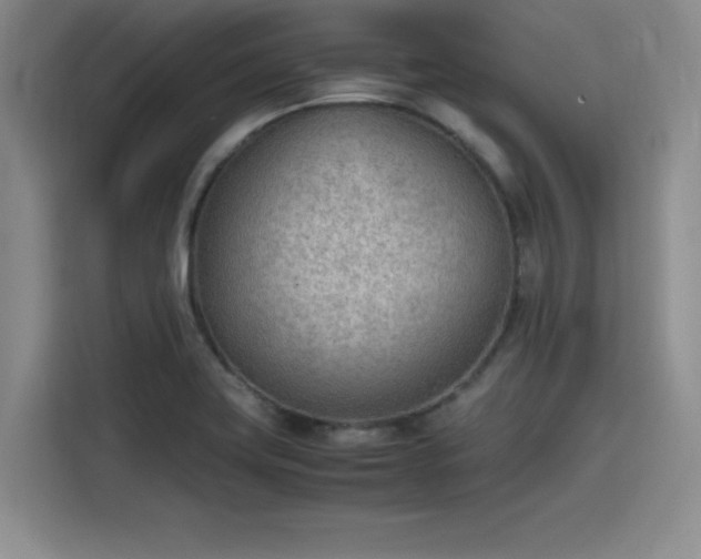 X0000115781419200911201303