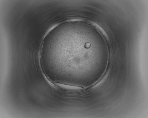 X0000115781425200911201303