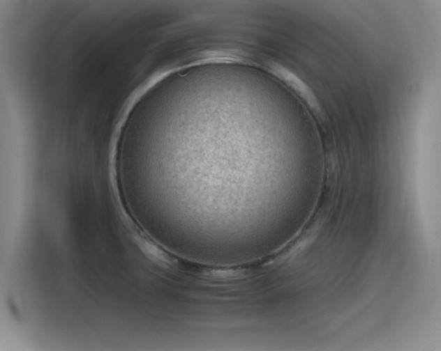 X0000115781427200911201303