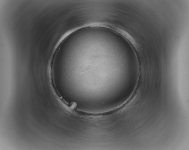 X0000115781428200911201303