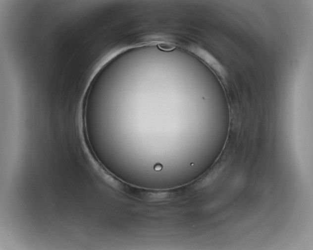X0000115781431200911201303