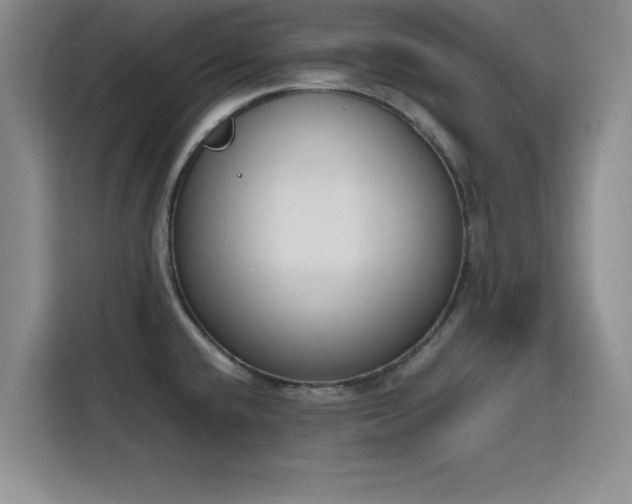 X0000115781432200911201303