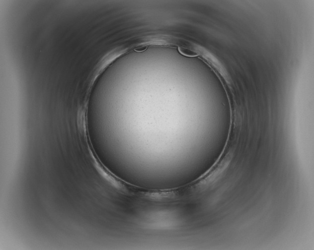 X0000115781433200911201303