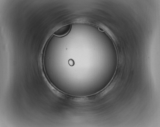 X0000115781434200911201303