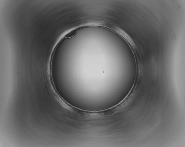 X0000115781436200911201303