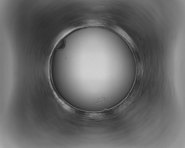 X0000115781439200911201303