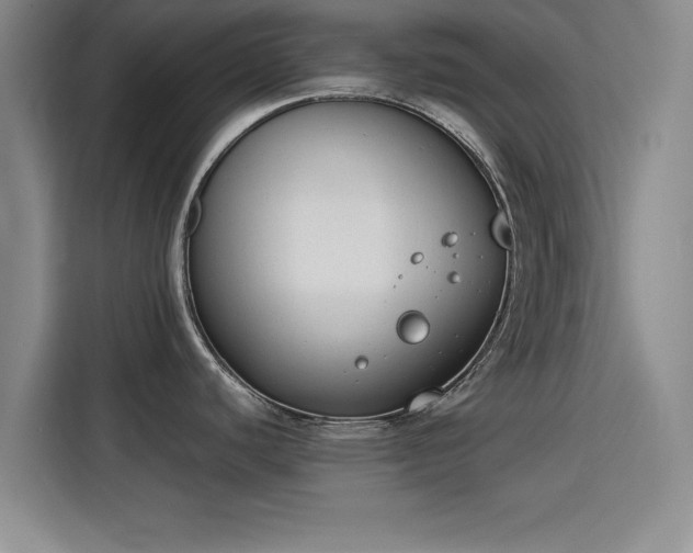 X0000115781440200911201303