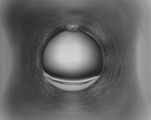 X0000115781441200911201302