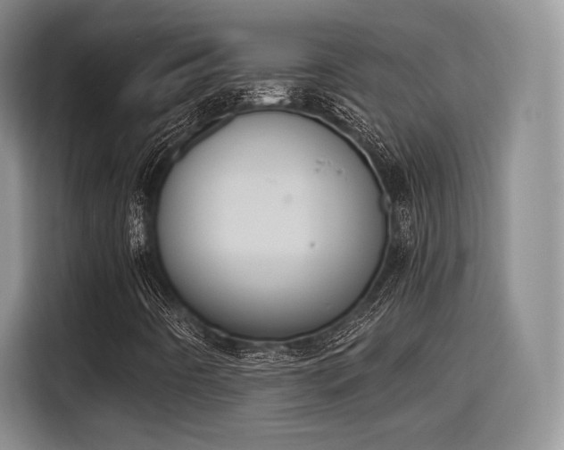X0000115781442200911201302