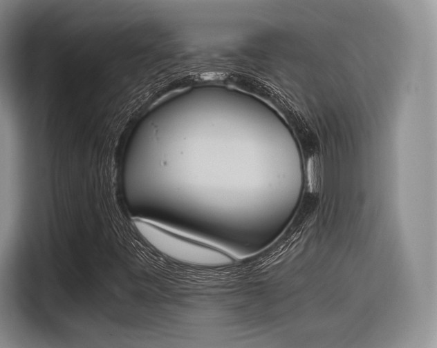 X0000115781443200911201302