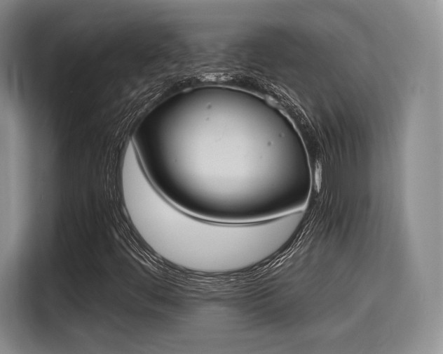 X0000115781444200911201302