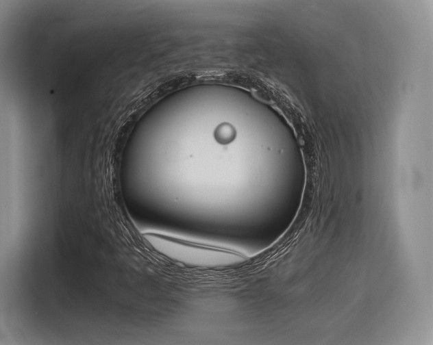 X0000115781445200911201302