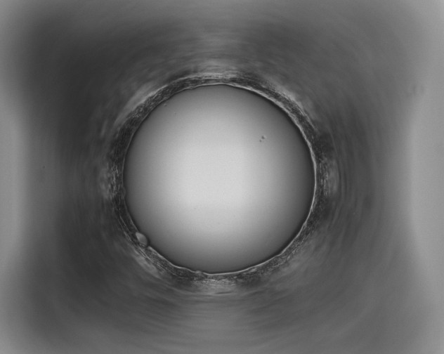 X0000115781448200911201302