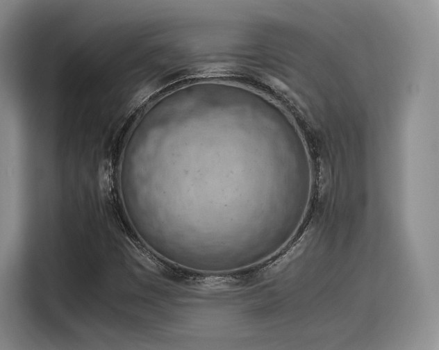 X0000115781449200911201302