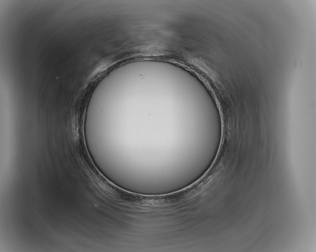 X0000115781451200911201302