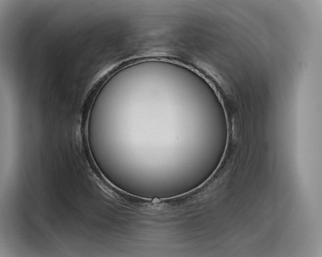 X0000115781452200911201302