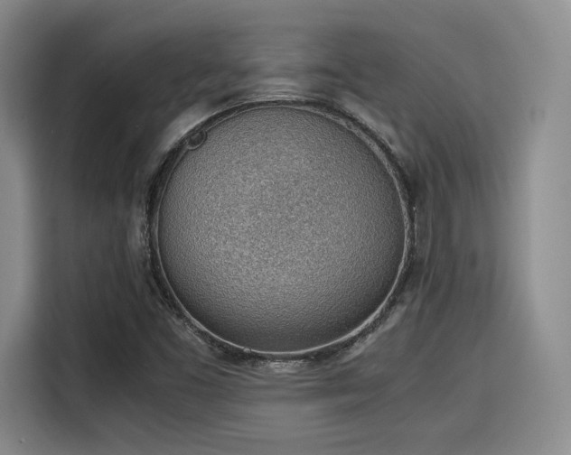 X0000115781453200911201302