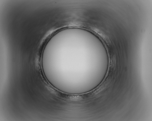 X0000115781454200911201302