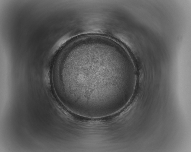 X0000115781455200911201302