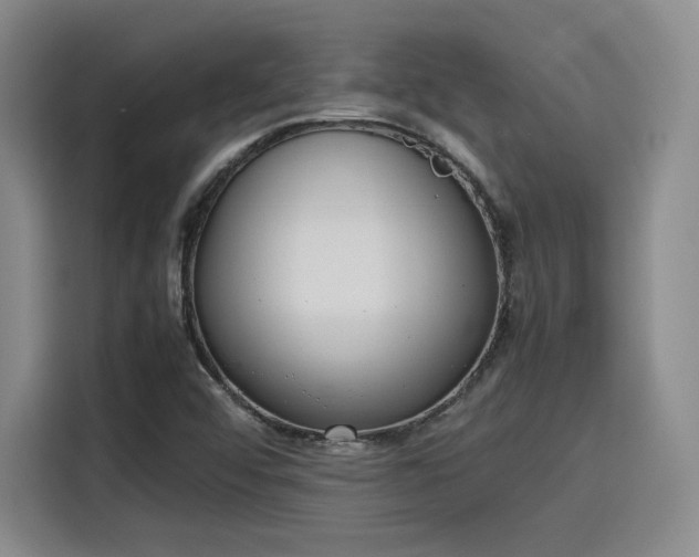 X0000115781456200911201302