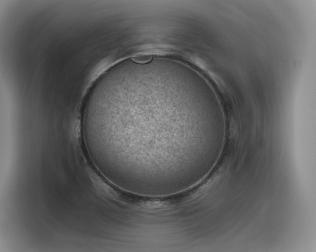 X0000115781459200911201302