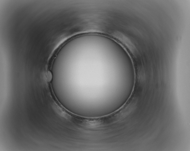 X0000115781460200911201302
