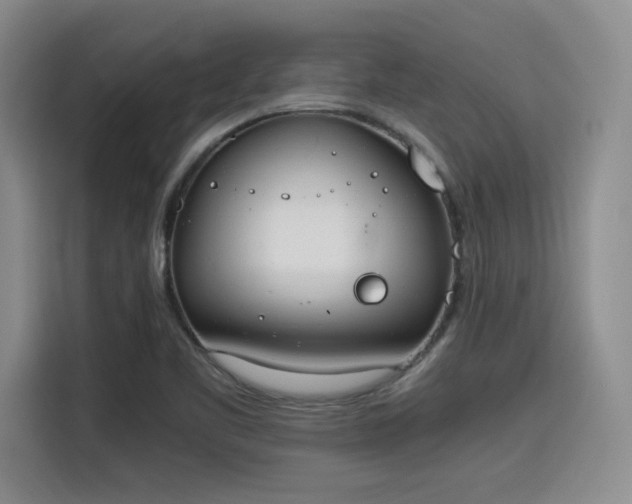 X0000115781461200911201302