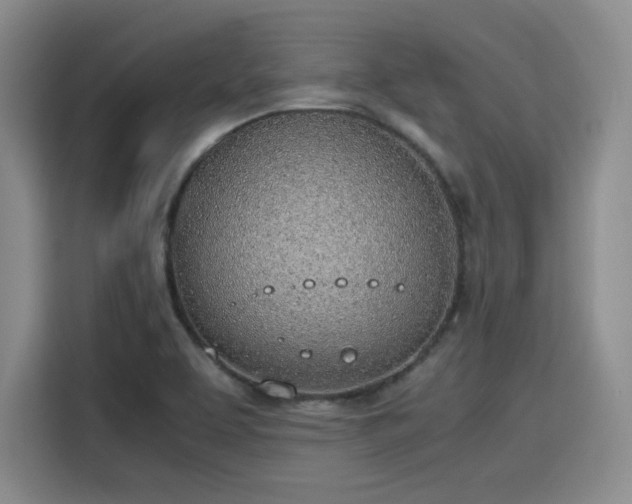 X0000115781463200911201302