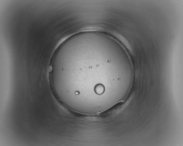 X0000115781465200911201302