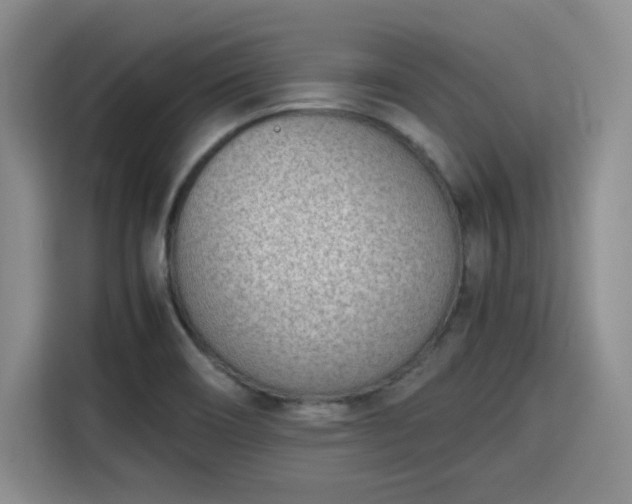 X0000115781466200911201302