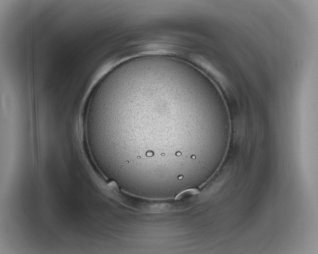 X0000115781467200911201302