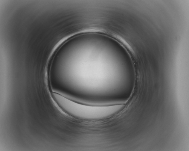 X0000115781468200911201302