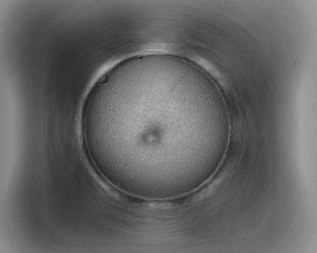 X0000115781469200911201302