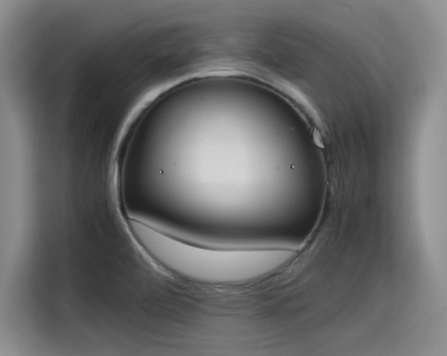 X0000115781472200911201302