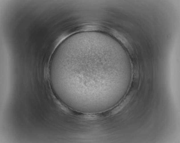 X0000115781473200911201302