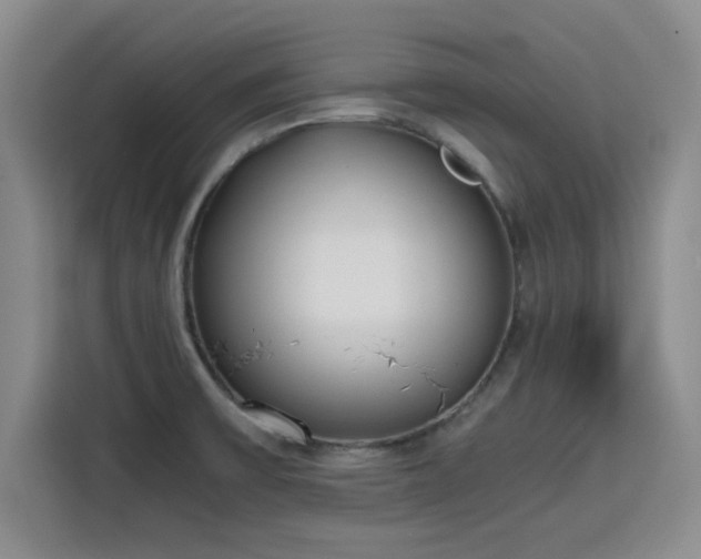 X0000115781475200911201302