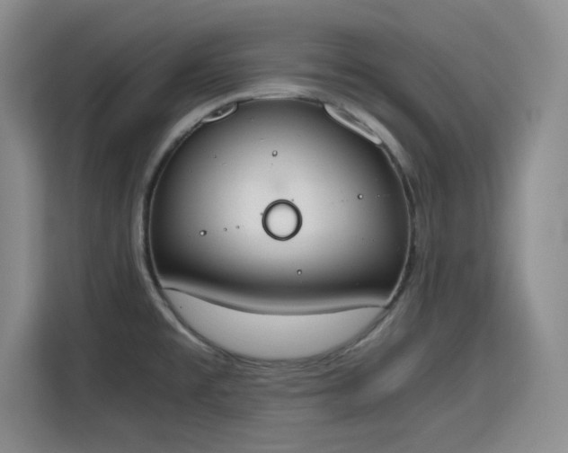 X0000115781477200911201302