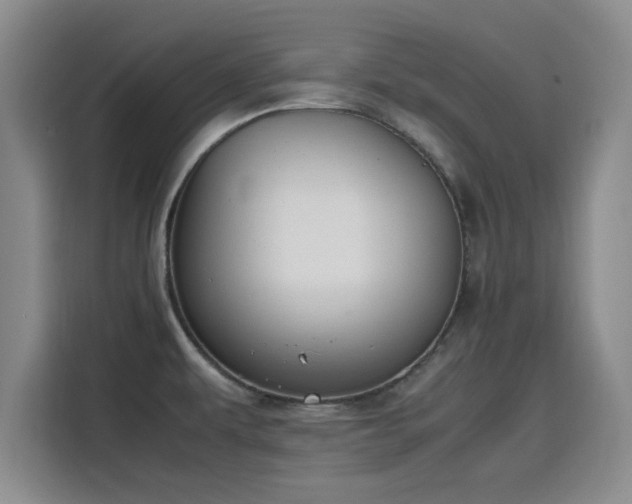 X0000115781479200911201302