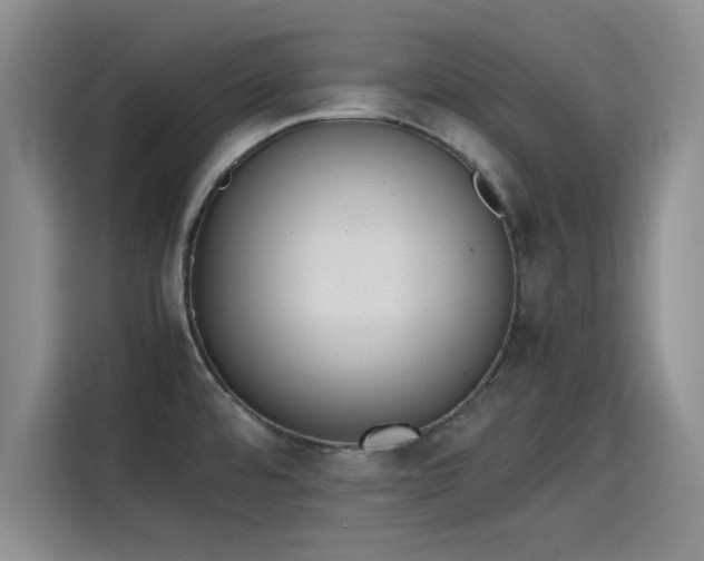 X0000115781480200911201302