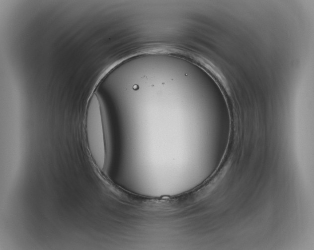 X0000115781481200911201302