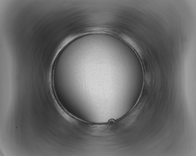 X0000115781482200911201302